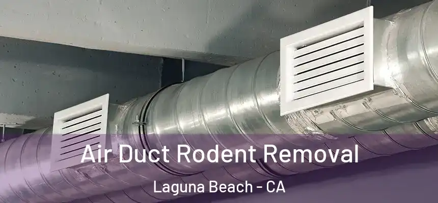  Air Duct Rodent Removal Laguna Beach - CA