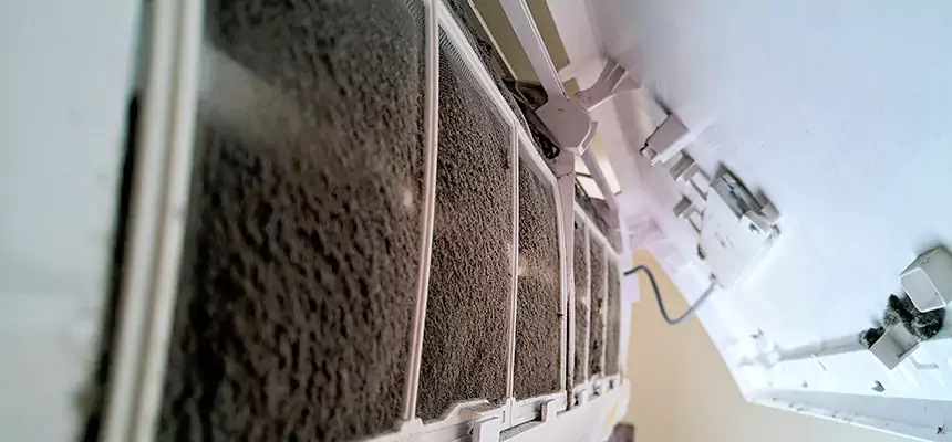 Preventive Air Duct Bacteria Removal in Laguna Beach