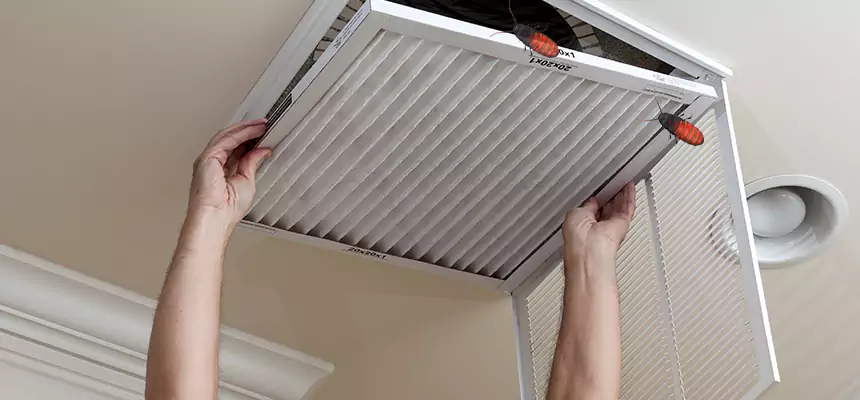 Preventive Cockroach-Proofing for Ducts in Laguna Beach