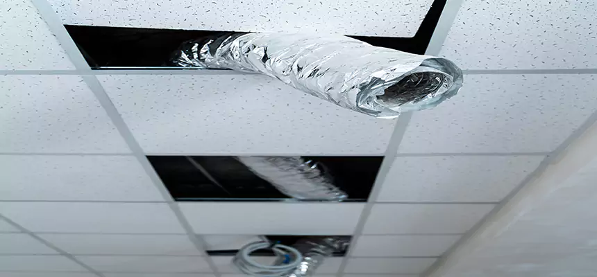 Our Air Duct Pet Hair Removal Services in Laguna Beach, CA