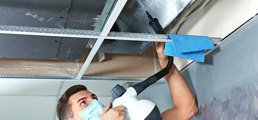 Our Air Duct Rodent Removal Services in Laguna Beach, CA