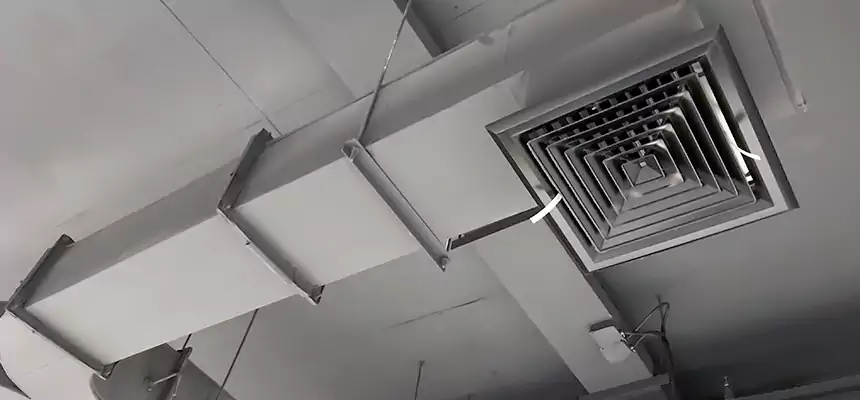 Restorative Allergy Relief Vent Cleaning – Coil, Blower & Housing Detail in Laguna Beach