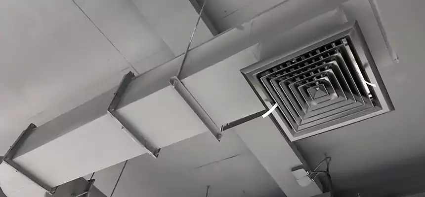 Our Pest Removal From Ducts Services in Laguna Beach, CA