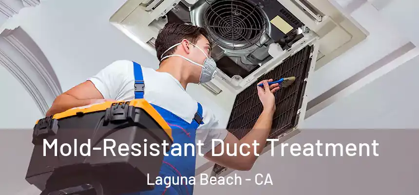  Mold-Resistant Duct Treatment Laguna Beach - CA