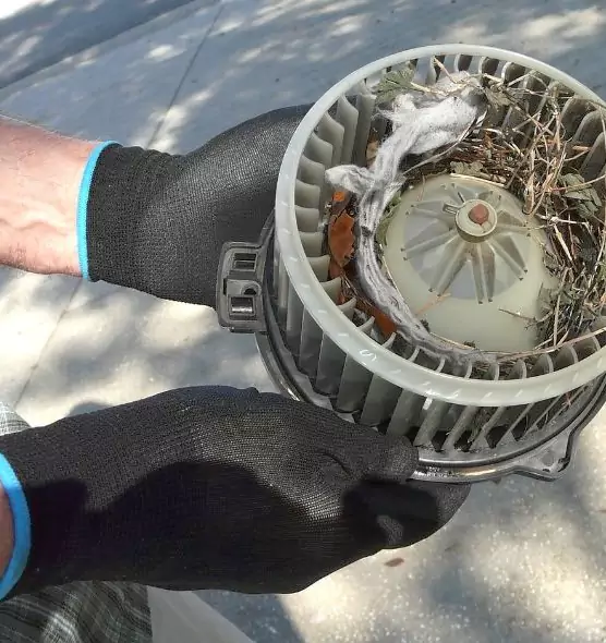 About Air Duct Mice Removal in Laguna Beach, CA