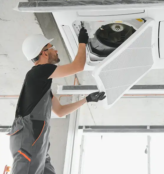 About Air Duct Rodent Removal in Laguna Beach, CA