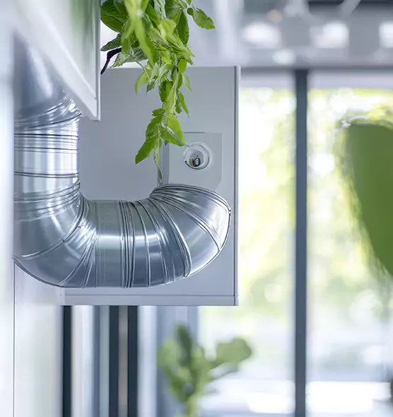 Professional Eco-Friendly Duct Cleaning Services in Laguna Beach, CA