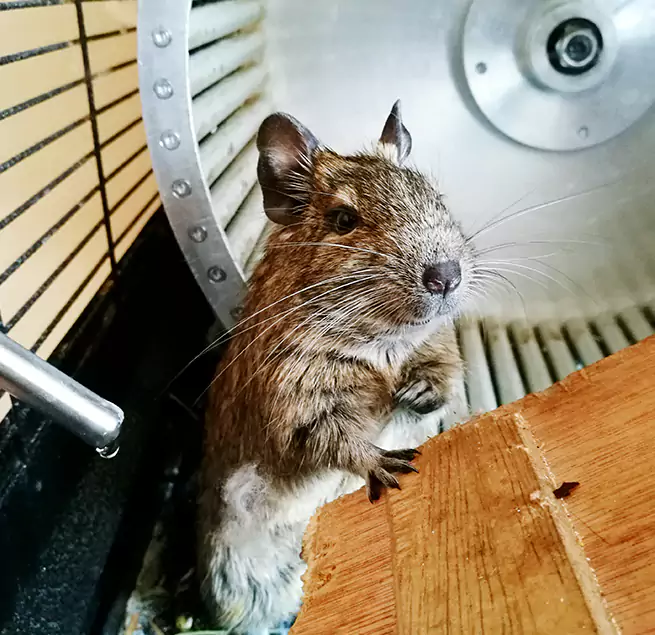 Why Homeowners & Businesses Trust Us Laguna Beach, CA?