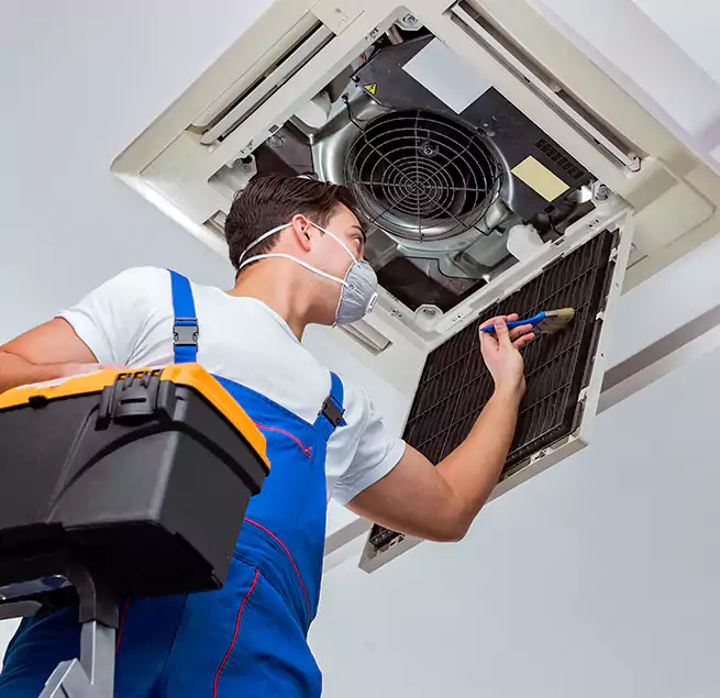 Why Homeowners & Businesses Trust Us in Laguna Beach, CA