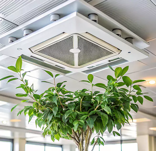 Why Homeowners & Businesses Trust Us in Laguna Beach, CA