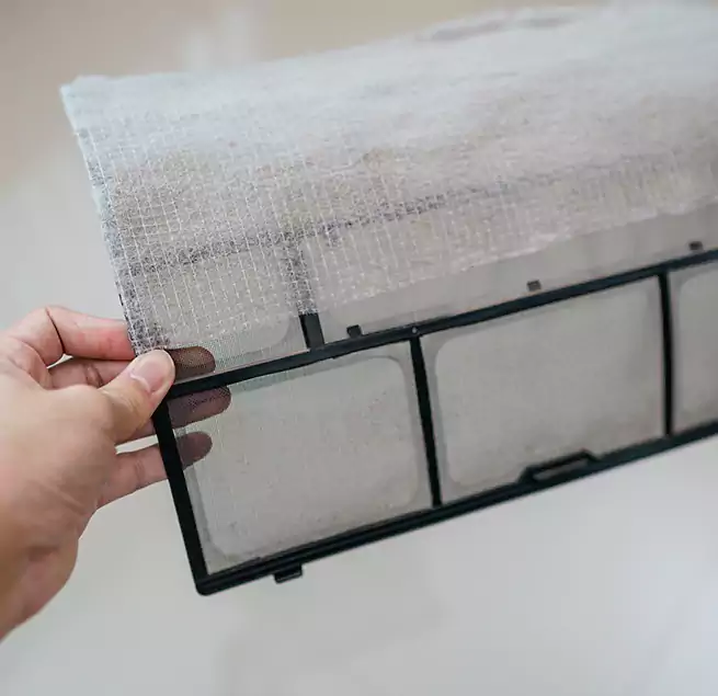 Why Homeowners & Businesses Trust Us in Laguna Beach, CA?