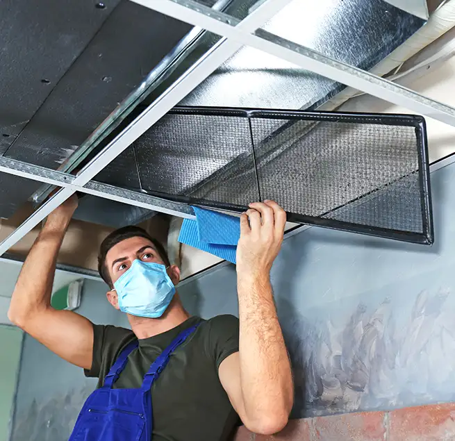 Why Homeowners & Businesses Trust Us in Laguna Beach, CA?