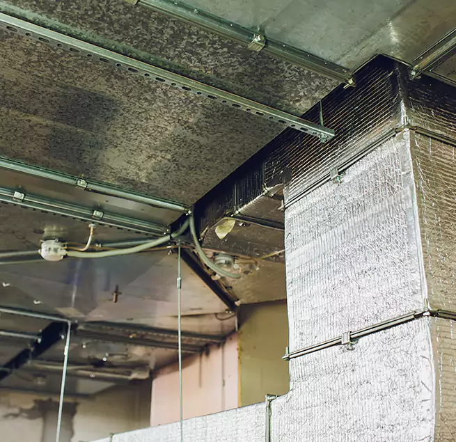 Why Homeowners & Businesses Trust Us in Laguna Beach, CA?