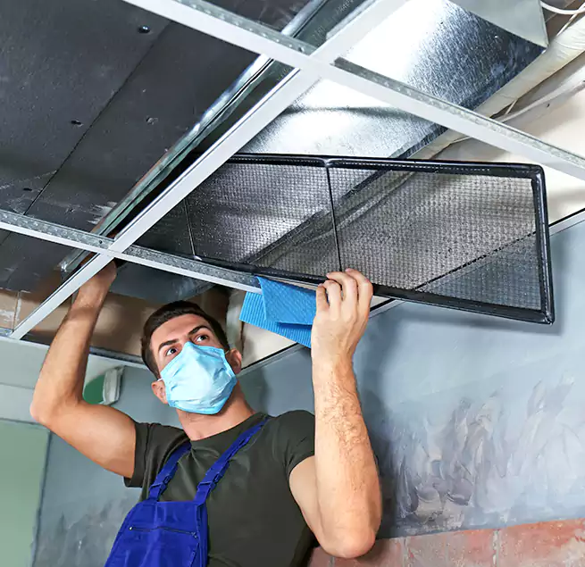 Why Homeowners Businesses Trust Us in Laguna Beach, CA